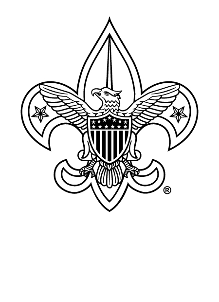 Troop 196  Minneapolis, MN 